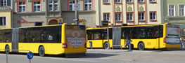 Der Bus ist in Regensburg neben Bahn und Taxi eines der Wichtigsten &ouml;ffentlichen Verkehrsmittel. Ob Tourist Student oder Einheimische jeder sch&auml;tzt die Zuverl&auml;ssigkeit der &ouml;ffentlichen Verkehrsmittel in der Stadt Regensburg.